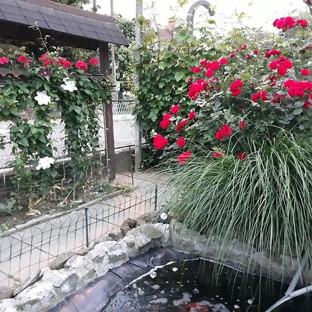 Apartment Zorec Maribor Zewnętrze zdjęcie
