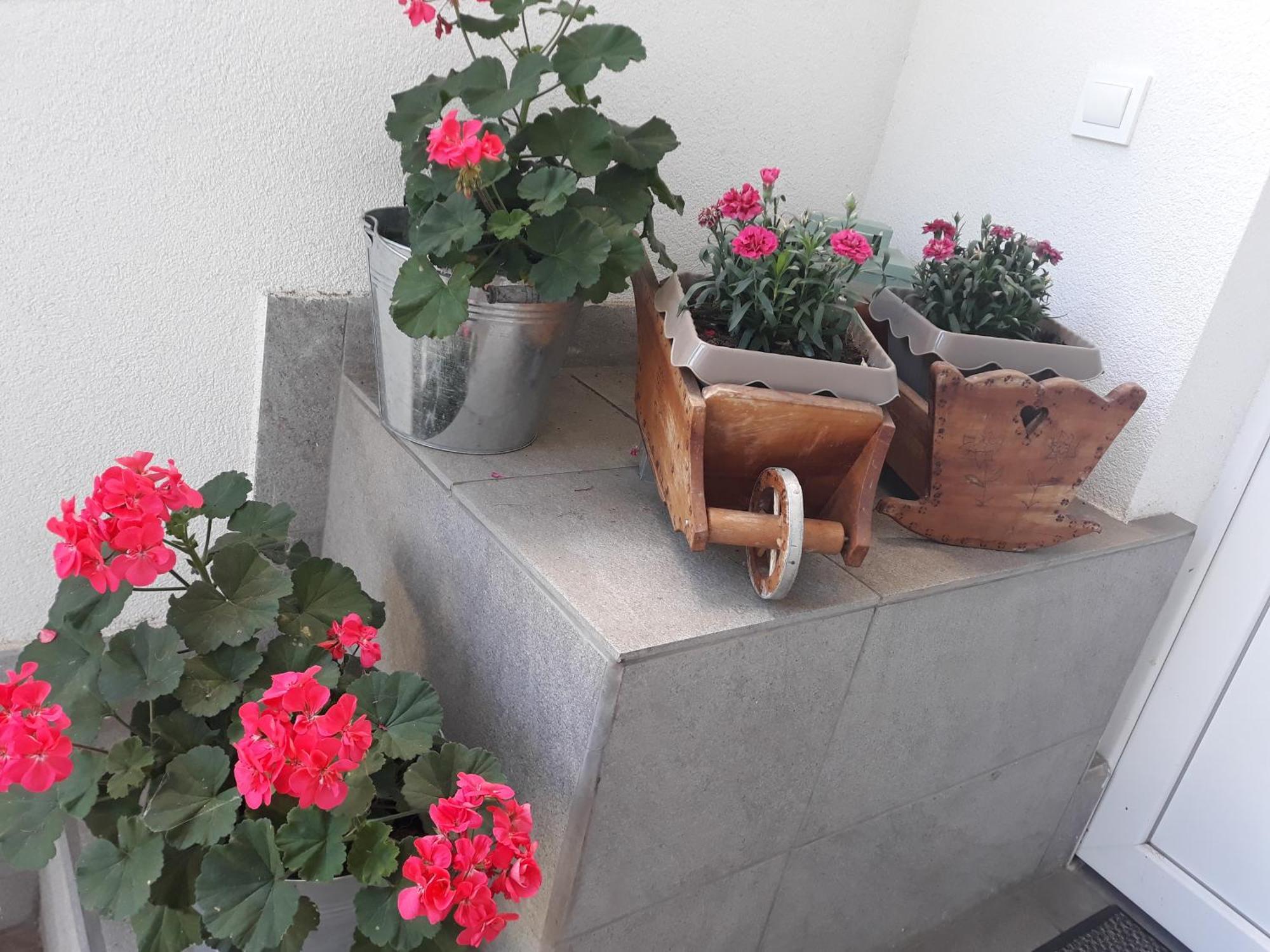 Apartment Zorec Maribor Zewnętrze zdjęcie